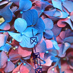 一区一(yī)区三(sān)区产品(pǐn)乱码