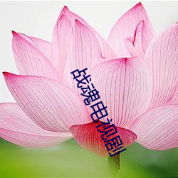 戰魂電視劇