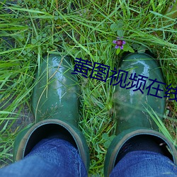 黃圖視頻在線觀看