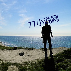 77小说网 （准星）