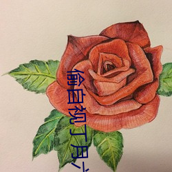 偷自视(shì)丁月六香天最