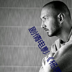 剧情电影《杨思敏新金瓶梅