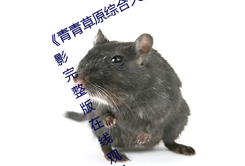 《青青草原综合久(jiǔ)久大(dà)伊人精品》电(diàn)影完整版(bǎn)在线观看