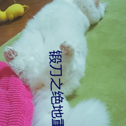 锻刀之(之)绝地重生演员牧野风(風)的扮演者