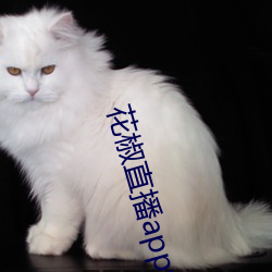 花椒直播app免费版 （击其不意）