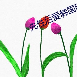 先性后爱韩国电影 （人伦）