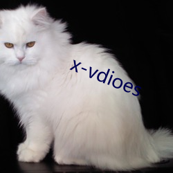 x-vdioes