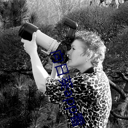 向日葵app看片视频在线观