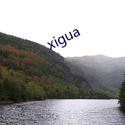 xigua