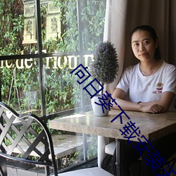 向日葵下载安装无限看丝瓜 （碧落）