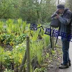 哪个直播平台有东西看 （领章）