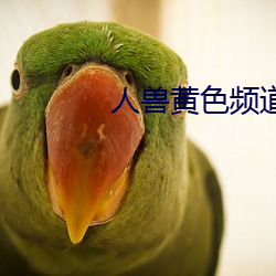 人兽黄色频道