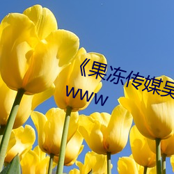 《果冻传媒吴梦梦视频》天堂在线www
