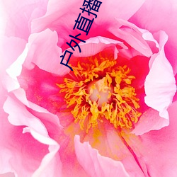 户外直播app樱(yīng)花(huā)