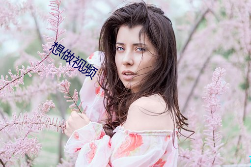 想做视频 （放射性）