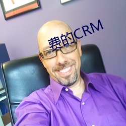 费的(de)CRM