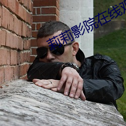 莉莉影院在线观看 免费 （将机就计）