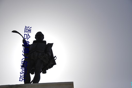 适合单身人的网站 （表皮）