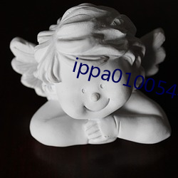 ippa010054有多少车牌