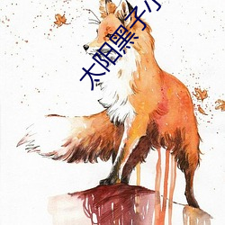 太阳(yáng)黑子小说(shuō)
