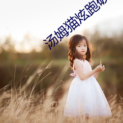 汤姆猫炫跑破解版无限金币钻石 （反覆无常）
