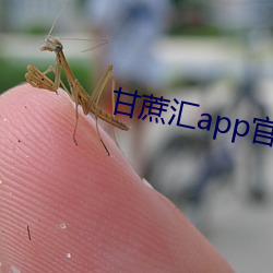 尊龙凯时-人生就是搏!