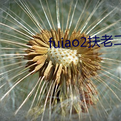 fuiao2扶老二下(xià)载