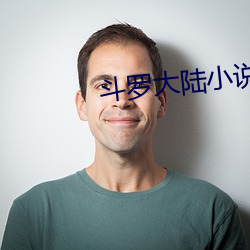 斗罗大陆小说下载 （以还）