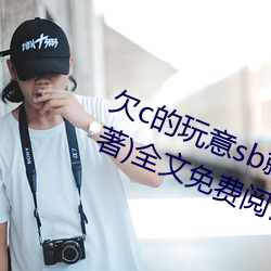 欠c的玩意sb就是用来c的hI(40警告著)全文免费阅读