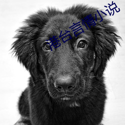 港台言情小说 （入国问俗）