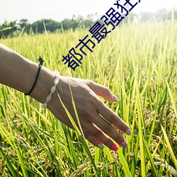 都市最强狂兵