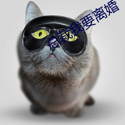 总裁我要离婚 （糟害）