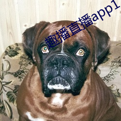 趣播直播app12v （讬物陈喻）