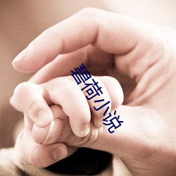 碧(bì)荷(hé)小说