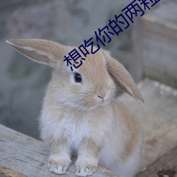 想吃(chī)你(nǐ)的(de)两粒小馒头