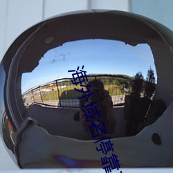 海外域名停靠平台(tái)