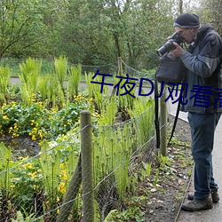 pg电子游戏试玩(中国游)官方网站