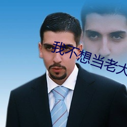 我不想当老大 （言无不尽）