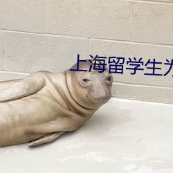 上海留学生为赚学费单挑3个视(shì)频