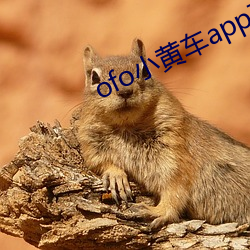 ofo小Ƴapp下载