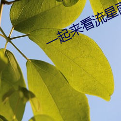 一起来看流星雨在线观看