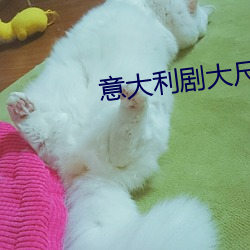 意大利劇大尺推薦最火罪夢