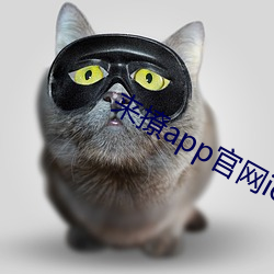 来撩app官网ios