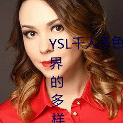 YSL千人千色T9T9T9T9MBA:时尚界的多样风格