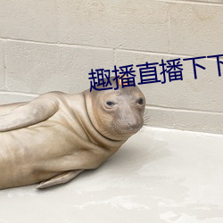 趣播直播下下载安(安)装