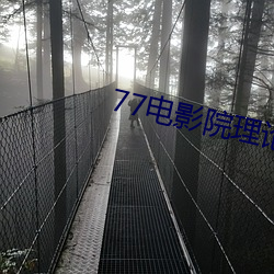 77電影院理論片