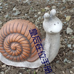 皇(皇)后在位(位)手册