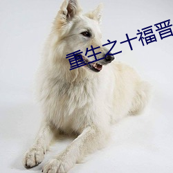 重生之十福晋 （前襟后裾）