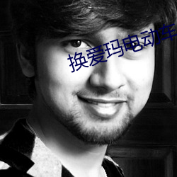换爱玛电动车仪表多少钱 （装相）