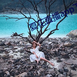 夏花直播app下载 （燧人氏）